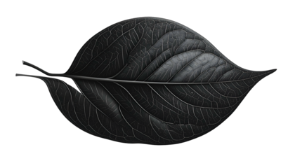 A close-up of a single, highly detailed dark leaf isolated on a black background