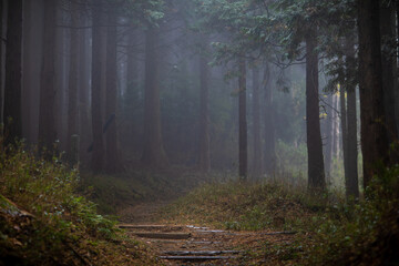 Obraz premium Mount Hiei in Kyoto, Japan in late autumn