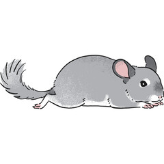 手書き風チンチラの寝転がって休んでいるポーズのイラスト