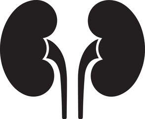Human kidneys vector silhouette illustration internal organ diagram for medical and educational projects