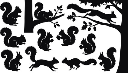 Squirrel silhouettes in dynamic poses, climbing trees, holding acorns, forest wildlife vector, black animal shapes, nature illustration © Momotaj