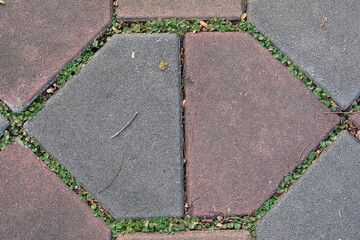 Obraz premium Interlocking concrete pavers with small green plants growing in the gaps between them