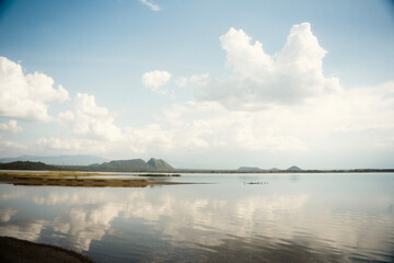 フラミンゴで知られるレイク・ナクル国立公園 ケニアの自然保護区