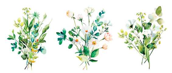 Bouquet Wild Field flowers Watercolor illustration Botanical collection of garden plants. Set different wild flowers, branches, herbs and leaves for bouquets and natural elements for cards