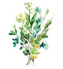 Bouquet Wild Field flowers Watercolor illustration Botanical collection of garden plants. Set different wild flowers, branches, herbs and leaves for bouquets and natural elements for cards