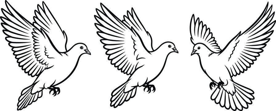 Elegant black and white line art illustration of three flying white doves representing peace freedom spirituality hope and soaring bird grace