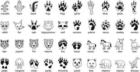 Obraz premium Animal footprint and face icon set, wildlife tracks collection, mammals reptiles birds symbols, educational nature illustration, black vector isolated