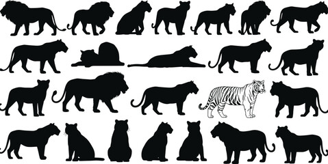 Big cats silhouette icon set, lion tiger panther leopard poses collection, wild predator animals, safari wildlife symbols, black vector isolated © Shahin