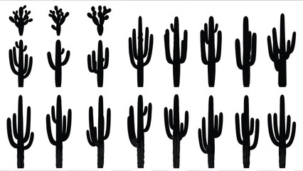 Cactus silhouette icon set, desert plant collection, saguaro cactus shapes, western nature symbols, black vector illustration isolated © Shahin