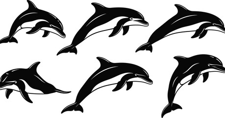 Jumping Dolphin Vector Illustration Set, Black and White Marine Animal Silhouettes, Ocean Wildlife Graphics for Logo Design, Summer Beach Theme Icons © Shahin