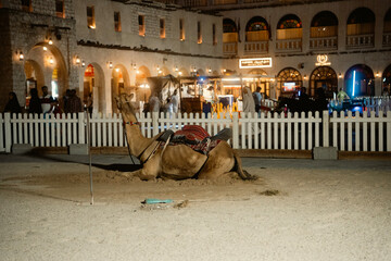 カタール・ドーハの近代的な街並みと中東の都市風景