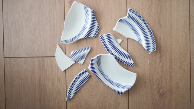 Pieces of broken dish on wooden floor