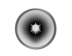 A circular speaker cone designed for sound amplification, featuring a central hub and flared edges for optimal acoustic performance.