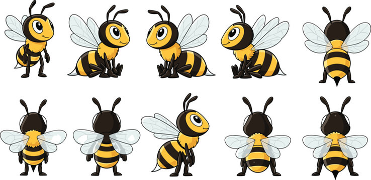 Cartoon Bee