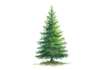 Artistic depiction of a solitary green conifer tree illustration isolated with space