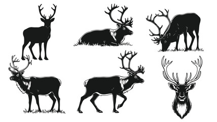 Collection of six black silhouette illustrations of deer in various poses against a clean white background.