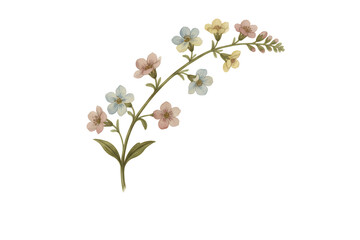 Fototapeta premium Delicate watercolor illustration of a flowering plant stem with colorful blooms on a dark plane