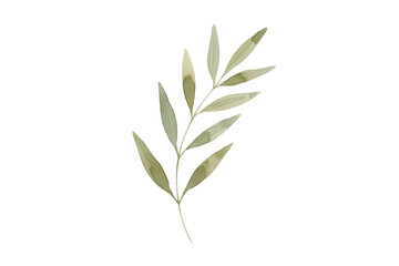 Delicate Watercolor Leaf Illustration Depicting Serene Elegance and Botanical Minimalism