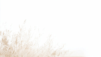 Beige reeds against a light background