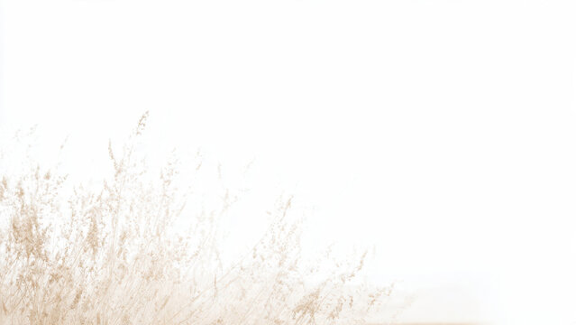 Beige reeds against a light background