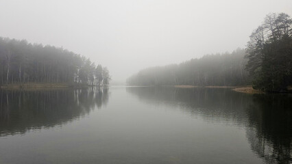 Misty Lake Forest: Tranquil Winter Morning