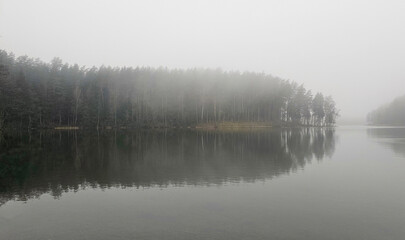 Misty Lake Forest: Tranquil Winter Morning
