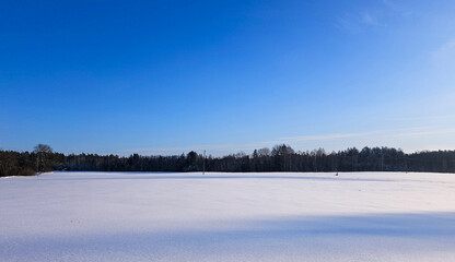 Vast Snowfield, Blue Sky, Forest Edge