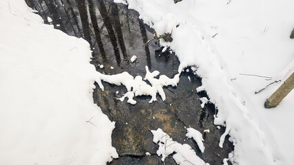 Tranquil Winter Woods with Flowing Stream
