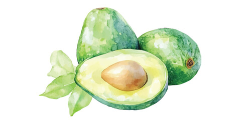 watercolor avocado fruit slice with green leaves illustration hand drawn fruits clip art