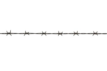 Barbed Wire Isolated on White Background