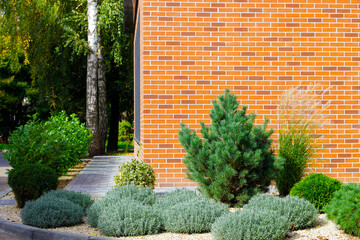 back yard landscaped plants and bush external garden floral design outdoor space clear weather landmark spring season time