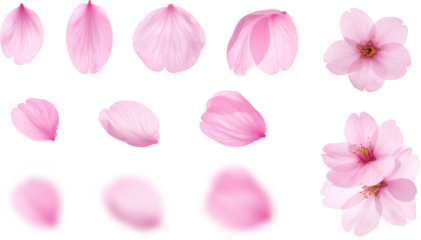 桜 花びら 切り抜き　set png  Generative AI  

