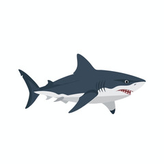 Obraz premium Cartoon Shark Illustration