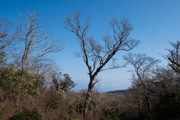 Climbing Mount Amagi, Shizuoka, Japan