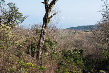 Climbing Mount Amagi, Shizuoka, Japan