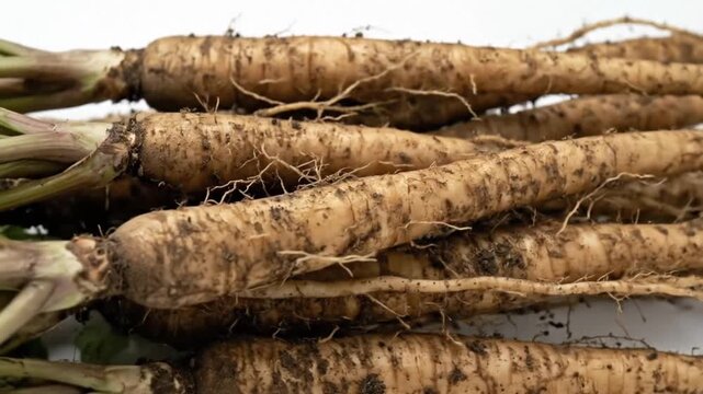A detailed close-up showcases a rustic pile of freshly harvested, unwashed root vegetables, displaying their natural, earthy texture and remnants of rich, dark soil. Vibrant green tops are still attac