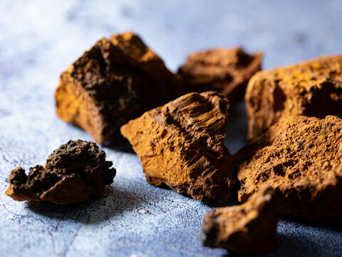  chaga mushroom, dried herbal medicine