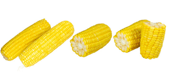 Fresh organic sweetcorn on the cob isolated on a white background featuring ripe yellow grains and...