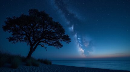 A dark, broad tree stands on a grassy, sandy beach at night. The glowing Milky Way arcs across a star-dusted sky, with a soft sunset hue on the horizon above calm water.