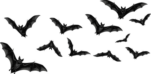 Obraz premium Flying bat illustration set with spooky dark bats, Halloween vampire bat silhouettes, gothic wildlife creatures for decoration and design