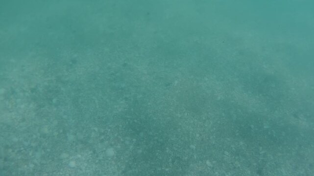 Blue water with rays of sunlight illuminating underwater. Footage taken by a go pro. Summer time in New Zealand.