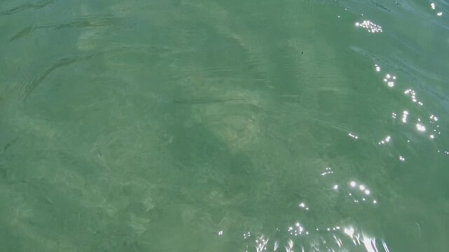 Blue water with rays of sunlight illuminating underwater. Footage taken by a go pro. Summer time in New Zealand.