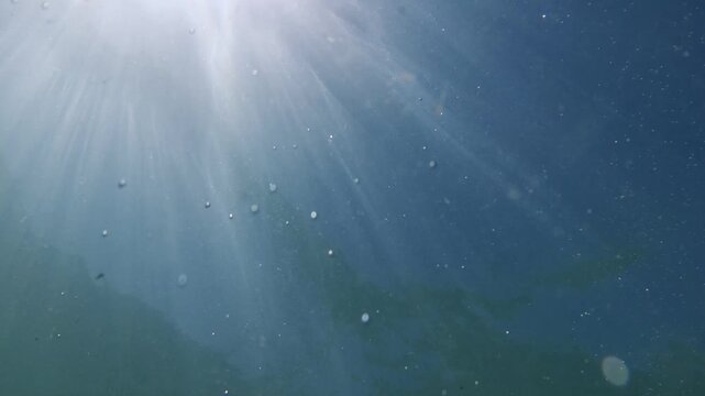 Blue water with rays of sunlight illuminating underwater. Footage taken by a go pro. Summer time in New Zealand.