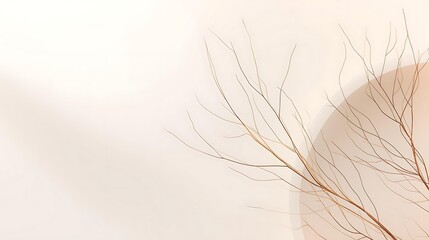 Obraz premium Delicate branches of a minimalist plant with soft, diffused light creating an ethereal and serene atmosphere