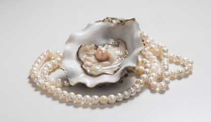 Pearl, One natural pearl inside the oyster shell, close up, on light gray background. Nacre. Real Pearls necklace. Mother-of-pearl. Wealth concept. 