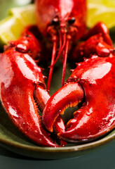 Lobster claws close up, seafood, gourmet food, steamed lobster with big claw background, top view, flat lay. Horizontal art design photo, close-up, macro shot. 