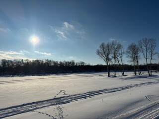 A serene winter landscape under bright sun: snow-covered field with tire tracks, bare trees in the foreground, dense forest in the background, clear blue sky. Peaceful, crisp winter day.