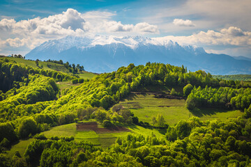 Fototapety na wymiar - Fototapeta24.pl
