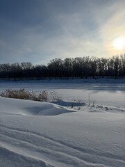 A serene winter landscape under bright sun: snow-covered field with tire tracks, bare trees in the foreground, dense forest in the background, clear blue sky. Peaceful, crisp winter day.