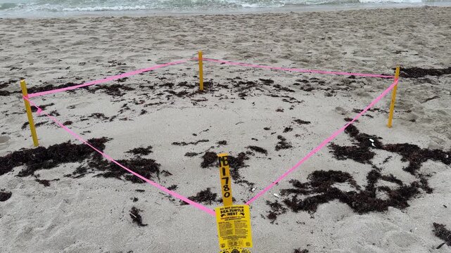 Miami, FL, USA, June 26, 2025: TILT Warning sign "Do not disturb sea turtle nest". A sign posted on a sea turtle nesting area warns of punishment and fines if nests or turtle hatchlings are disturbed.